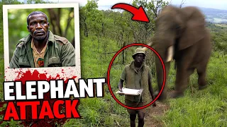 This South African Safari Guide Was Attacked by Elephant!