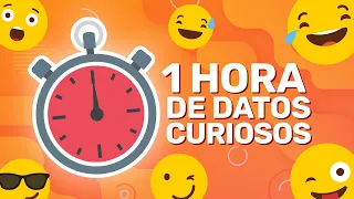 1 HORA SIN PAUSAS DE DATOS CURIOSOS! (XpressTV)