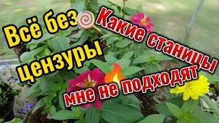 Мнение о станицах без цензуры. Какие станицы мне не подходят. Куда буду переезжать или останусь, пмж