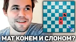 МАТ конем и слоном? МАГНУС КАРЛСЕН в матче за кубок Бантер Блица chess24, Шахматы Блиц