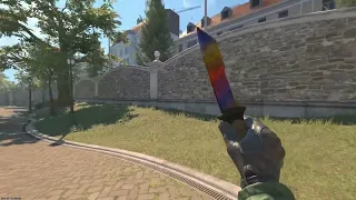 Ursus Knife | Marble Fade (Factory New) | CS2 Ingame Animation