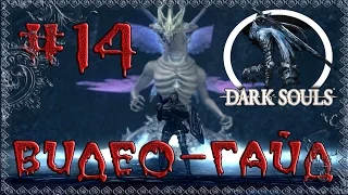 Видео-гайд по Dark Souls: Prepare to Die edition. #14 "Смерть Повелителя Могил"