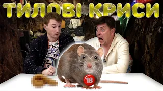 Тилові криси 4. Бампер і Сус