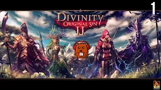 Divinity 2 с Майкером и БСП (1 Часть)