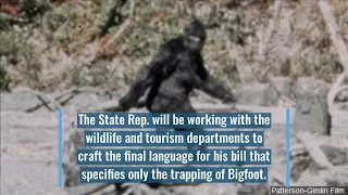 Oklahoma lawmaker files bill for Bigfoot hunting season