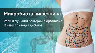 Микробиота кишечника. Бактерии и микрофлора. Дисбиоз.