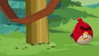 Angry Birds Toons: Chuck Time - Sneak Peek, episode 1