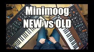 Minimoog Reissue vs Original