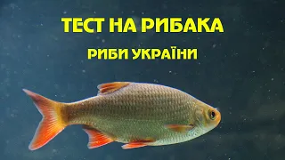 Тест на рибака.  Риби України