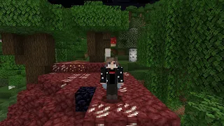 My first Elytra in Survival Minecraft! (13)