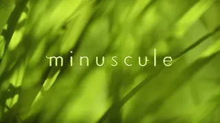 Minuscule - Torpedo (Season 1)