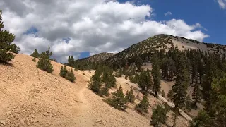 San Gorgonio Peak | Via Vivian Creek Trail