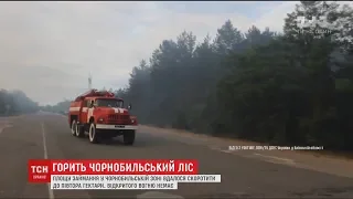 У Чорнобилі досі горить Рудий ліс