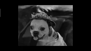 A Dogville Comedy - The Big Dog House (1930) (Complete Pre Code Movies) Short And Comedy