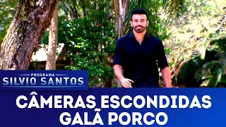 Galã Porco | Câmeras Escondidas (06/01/19)