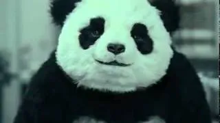 Panda funny ad.mp4