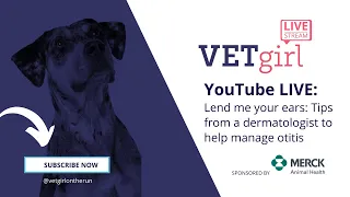 10/7/2020: VETgirl Merck YouTube: Lend me your ears: Tips from a dermatologist to help manage otitis