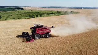 УБОРКА 2020! Case IH 6140 Axial-Flow