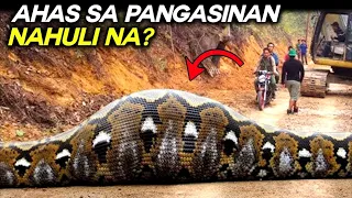 HIGANTENG AHAS sa CALASIAO PANGASINAN NAHULI NA? | DAMBUHALANG AHAS na NAHULI sa BUONG MUNDO