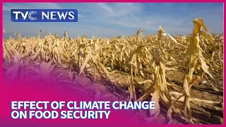 Effect Of Climate Change On Food Security In Africa