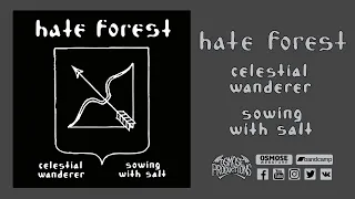 HATE FOREST Celestial wanderer EP + Sowing with salt EP