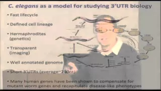 Symposium Series: Dr. Marco Mangone - The Genomics and Genetics