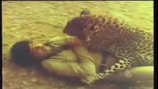 Shankar Nag & Ambarish Fight with Cheetah in Forest | Best Scenes of Kannada Movies