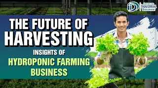 Hydroponic Farming Business Insights | The Future of Harvesting