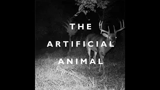 THE ARTIFICIAL ANIMAL - BROKEN ENGLISH CLUB