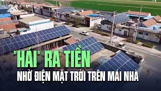 "Hái" ra tiền nhờ điện mặt trời trên mái nhà | VTV24