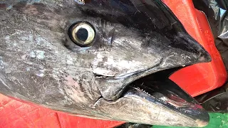Giant Bluefin Tuna cutting for Sashimi  -Taiwanese street food