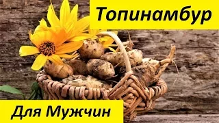 Топинамбур - Полезные Свойства. Земляная Груша. Польза и Вред