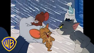 Tom i Jerry po polsku 🇵🇱 | Najlepsze momenty szaleństw Jerry'ego 🐭 | @WBKidsInternational​