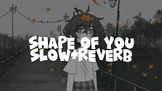 shape of you - Ed Sheeran (slowed+reverb) lyrics (background: popopoka) @popopoka_