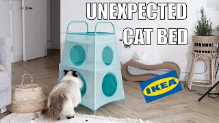 Unexpected cat bed from IKEA 🙀 | mmeowmmia