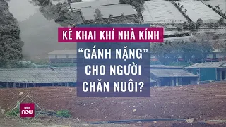 Cơ sở chăn nuôi gà, lợn cũng có thể phải kiểm kê khí nhà kính: Hội Chăn nuôi lên tiếng | VTC Now