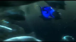 Findet Nemo Schwimmt runter!
