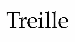 How to Pronounce Treille