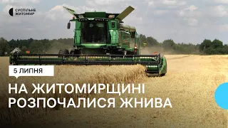 Куди подіти новий урожай – аграрії Житомирщини почали жнива, але не знають чи зможуть продати зерно