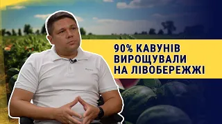 Нестача овочів і фруктів та посівна під обстрілами. Яким був аграрний рік для Херсонщини