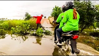 Remove Floating Plants Clogged Massive Dam Drain Water After Heavy Rain