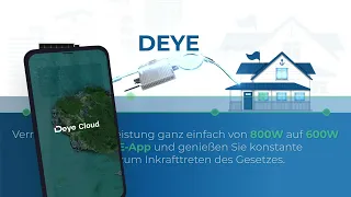 Neu Generation 800W Deye Wechselrichter mit Relais: Das Upgrade für Ihr Zuhause!