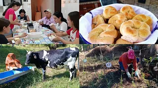 3 DIAS COMIGO/CUIDANDO DO ALHO E DAS VACAS+FUI VISITAR MEUS PAIS E FIZ ROSQUINHA CASEIRA.