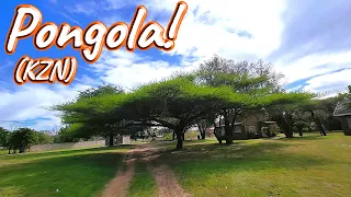 S1 – Ep 378 – Pongola – Treated us to Breathtaking Wildlife Encounters!