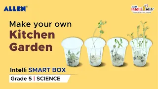 ALLEN Intelli SMART Box| Make your own Kitchen Garden | DIY Science activity kit for Grade 5