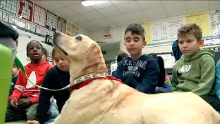 Therapy dogs help young students develop reading skills at LI school