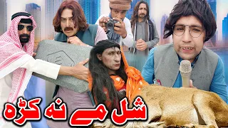 Shal Me Na Kra | Funny Video |  Zalmi Vines