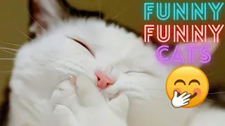 2 HOUR BEST FUNNY CATS COMPILATION 2023 😂| The Best Funny And Cute Cat Videos 6!😸 😸