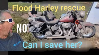 Must see before and after Motorcycle Rescue / restoration time lapse on Flooded salvage Harley