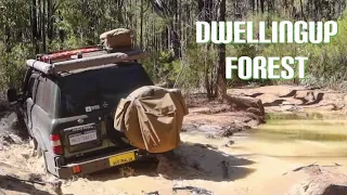 Solo Adventure | 4WD Through the Jarrah Forest - Dwellingup, Western Australia